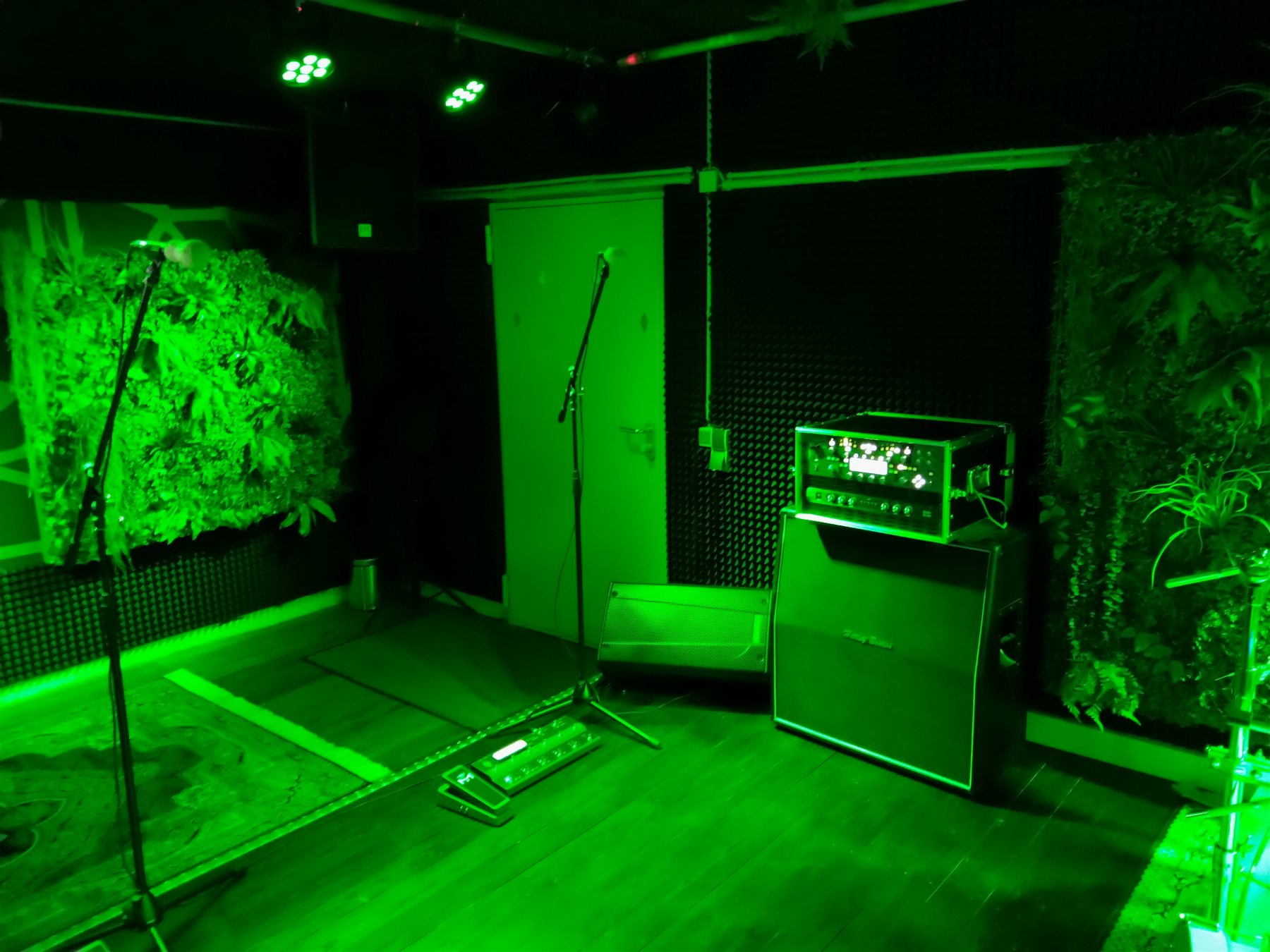 Kemper-Profiler mit Gitarrenbox und Bühnenmonitor